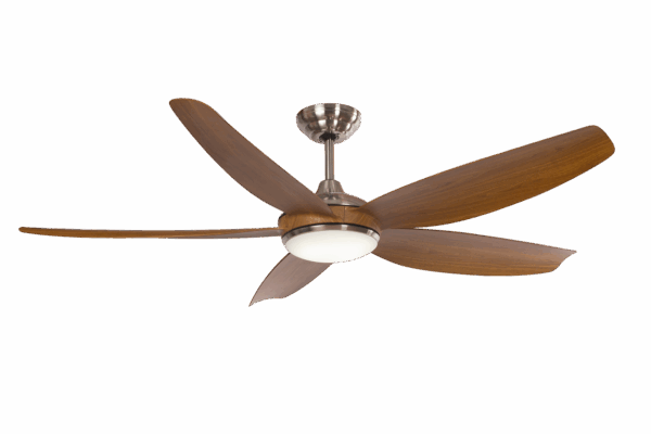 Quạt trần Kaiyokukan Hiro-219-OAK